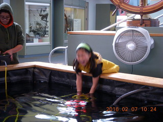 Philadelphia - Independence Seaport Museum - Cecelia