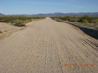 347 98d. Alamo Lake run