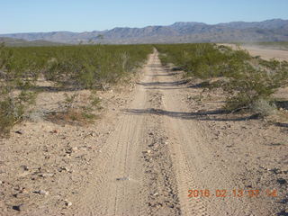 Alamo Lake run