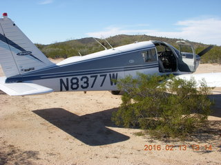 1612 98d. Motown - Arizona Flying Circus - N8377W in the bushes