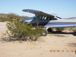 Motown - Arizona Flying Circus - high wing in the bushes