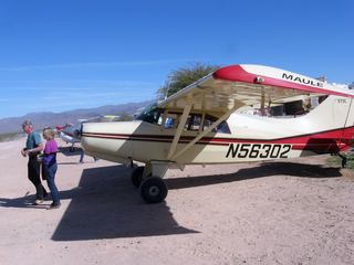 393 98d. Alamo Lake pictures