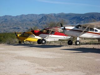 399 98d. Alamo Lake pictures