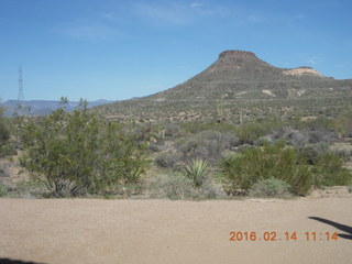 Alamo Lake pictures