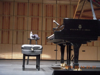 Alamo Lake pictures - Laura and Adam in N8377W