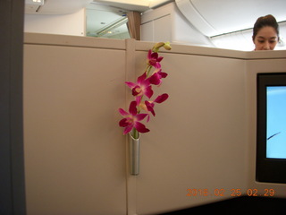 6 98r. long flights LAX to HKG to BKK - flowers