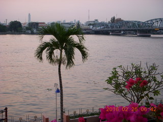 11 98s. Bangkok - Royal River Hotel palm tree