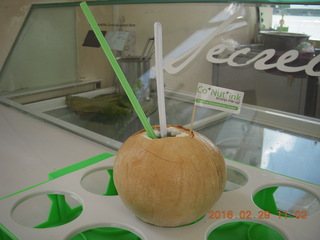 108 98v. Singapore - coconut drink