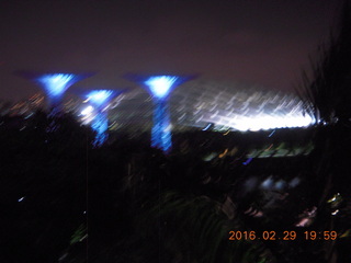 233 98v. Singapore lights