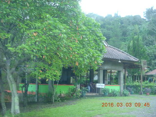Indonesia tea plantation - Tea Corner sign