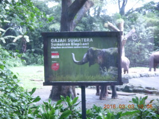 Indonesia Safari ride sign