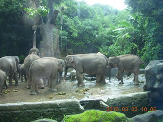 Indonesia Safari ride totem pole