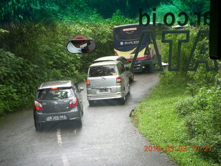 Indonesia Safari ride - puma