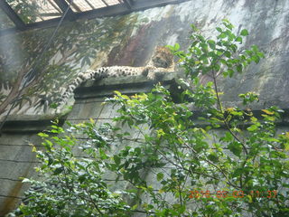Indonesia Baby Zoo