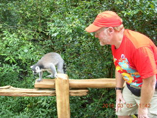 Indonesia Baby Zoo - Adam and lemur
