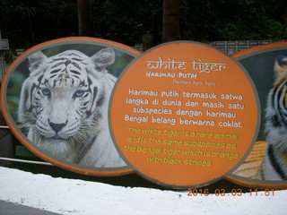 Indonesia Baby Zoo - tiger sign