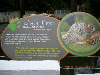Indonesia Baby Zoo tiger sign