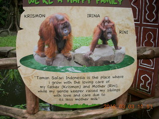 Indonesia Baby Zoo - small taj mahal