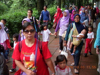Indonesia Baby Zoo crowd