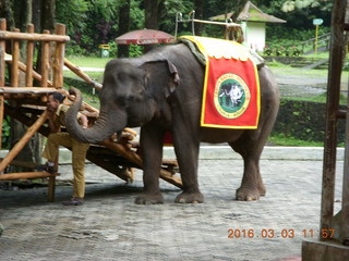 Indonesia Baby Zoo - oranguan sign