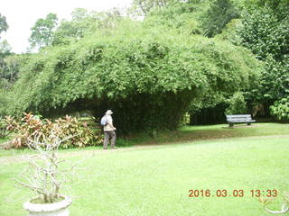 Indonesia Bogur Botanical Garden - our guides