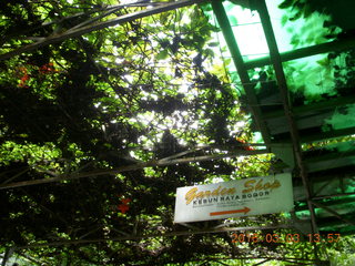 Indonesia Bogur Botanical Garden