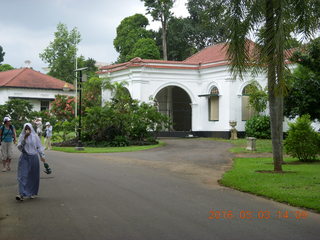 503 993. Indonesia Bogur Botanical Garden