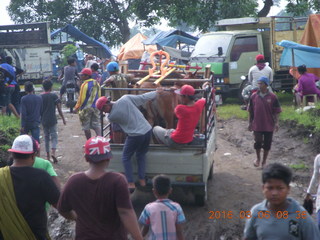 21 996. Indonesia - Probolinggo drive to Mt. Bromo