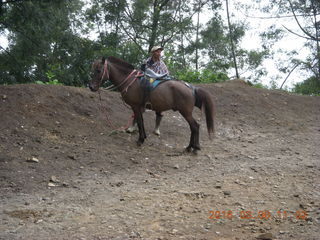 Indonesia - Mighty Mt. Bromo - horse
