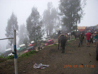 Indonesia - Mighty Mt. Bromo