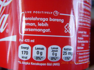 258 996. Indonesia - Mighty Mt. Bromo drive - Coke bottle