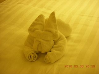 3 997. folded-towel bunny rabbit