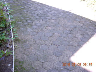 Indonesia - Bantimurung Water Park - hex tiled paved path