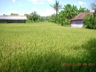 123 998. Indonesia village