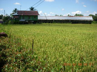 124 998. Indonesia village