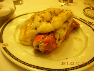 Volendam at sea - lobster dinner