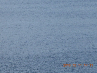 Indonesia - Komodo Island with Volendam in distance