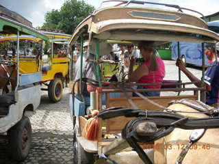 27 99c. Indonesia - Lombok - horse-drawn carriage ride