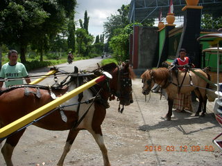 Indonesia - Lombok - horse-drawn carriage ride