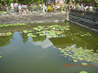 Indonesia - Bali - temple at Klungkung - lilies in moat