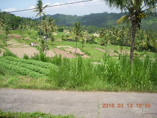 199 99d. Indonesia - Bali - lunch with hilltop view