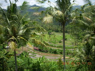 224 99d. Indonesia - Bali - lunch with hilltop view