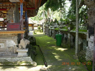 Indonesia - Bali - temple at Bangli - banyon tree