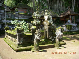 Indonesia - Bali - Temple at Bangli - giant banyon tree +++