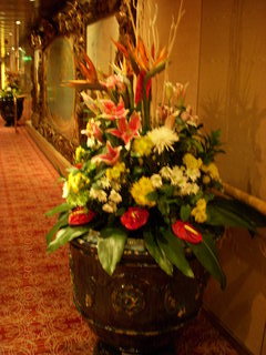 Volendam flowers