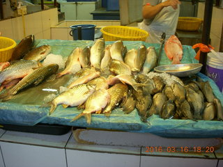134 99g. Malaysia - Kuala Lumpur food tour - fish