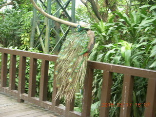 Malaysia - Kuala Lumpur - KL Bird Park tree