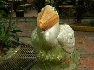 Malaysia - Kuala Lumpur - KL Bird Park - peacock +++