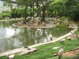 Malaysia - Kuala Lumpur - KL Bird Park - water
