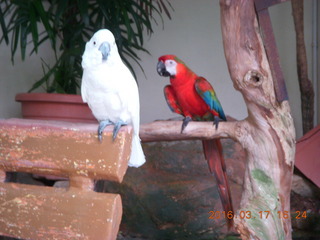 Malaysia - Kuala Lumpur - KL Bird Park - other visitors